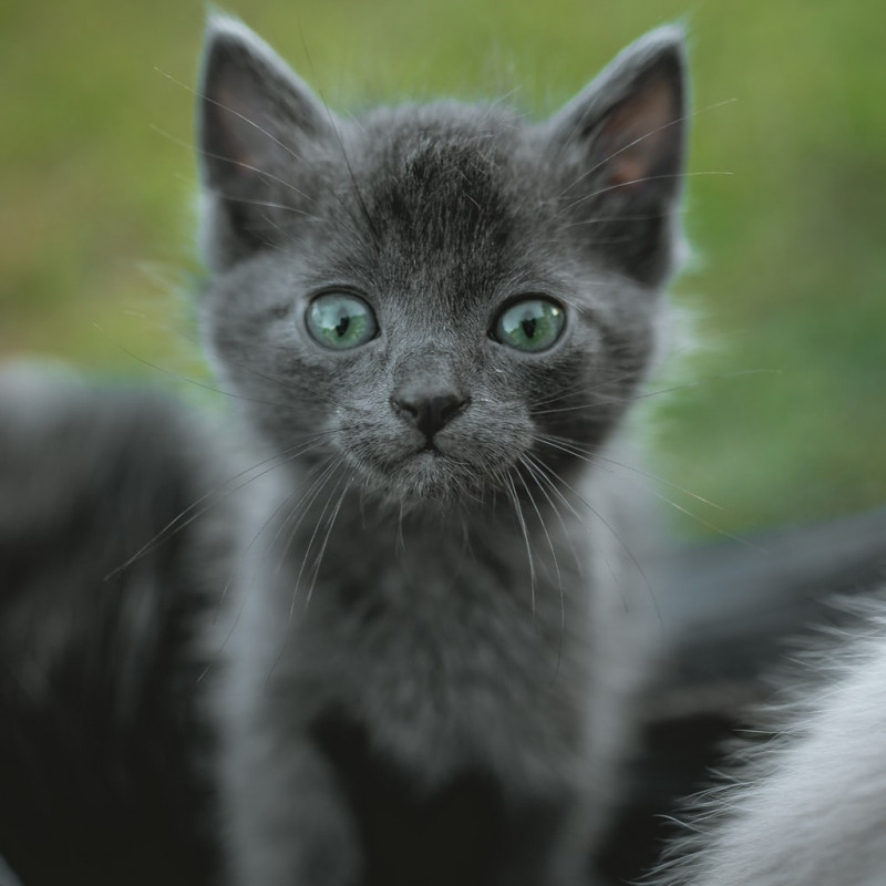 Yasmine Cartwright - Grips